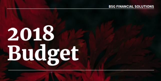 2018_Budget.JPG